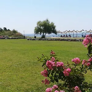 https://monopetro.hotelschalkidiki.net